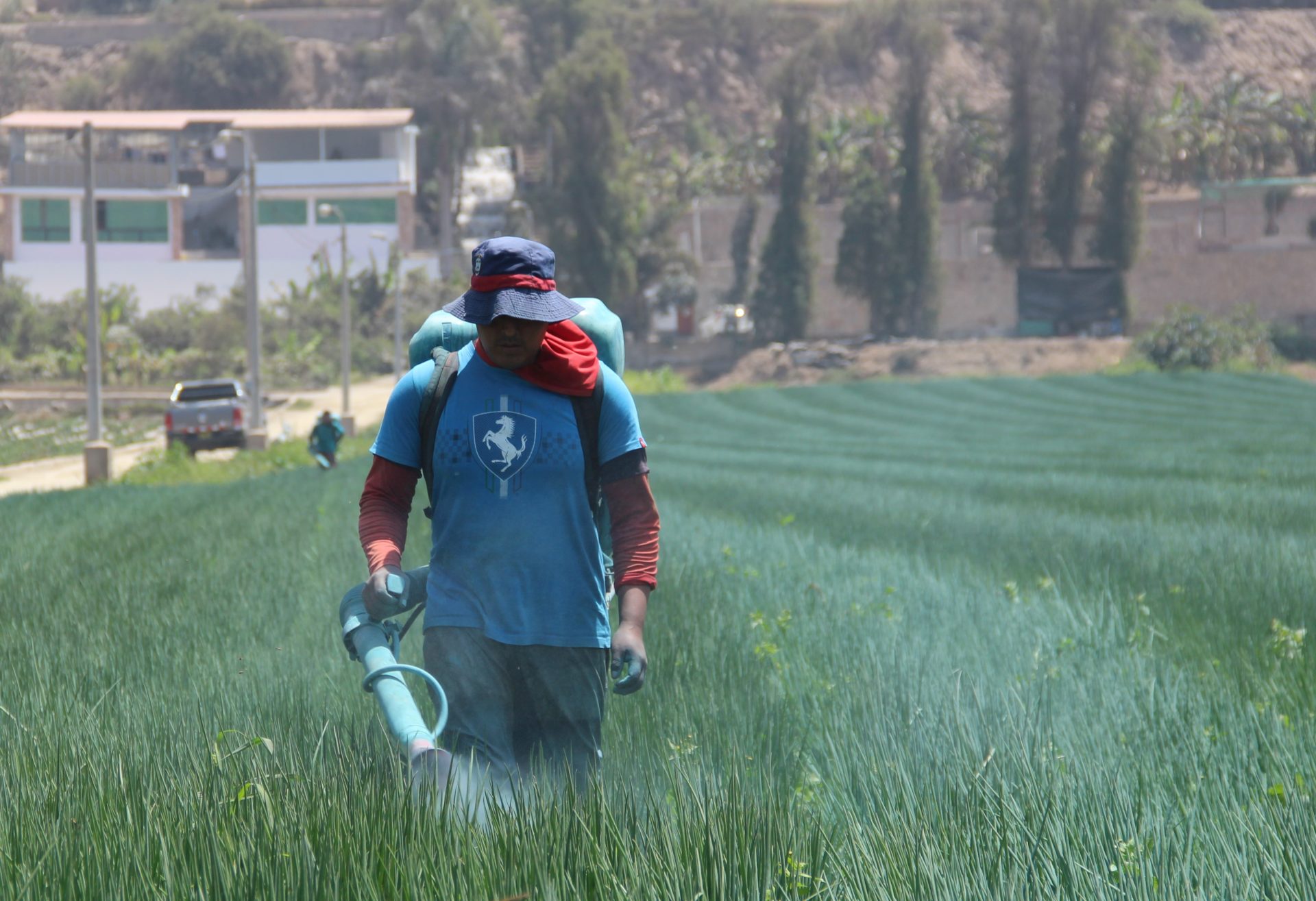 bestrijdingsmiddelen